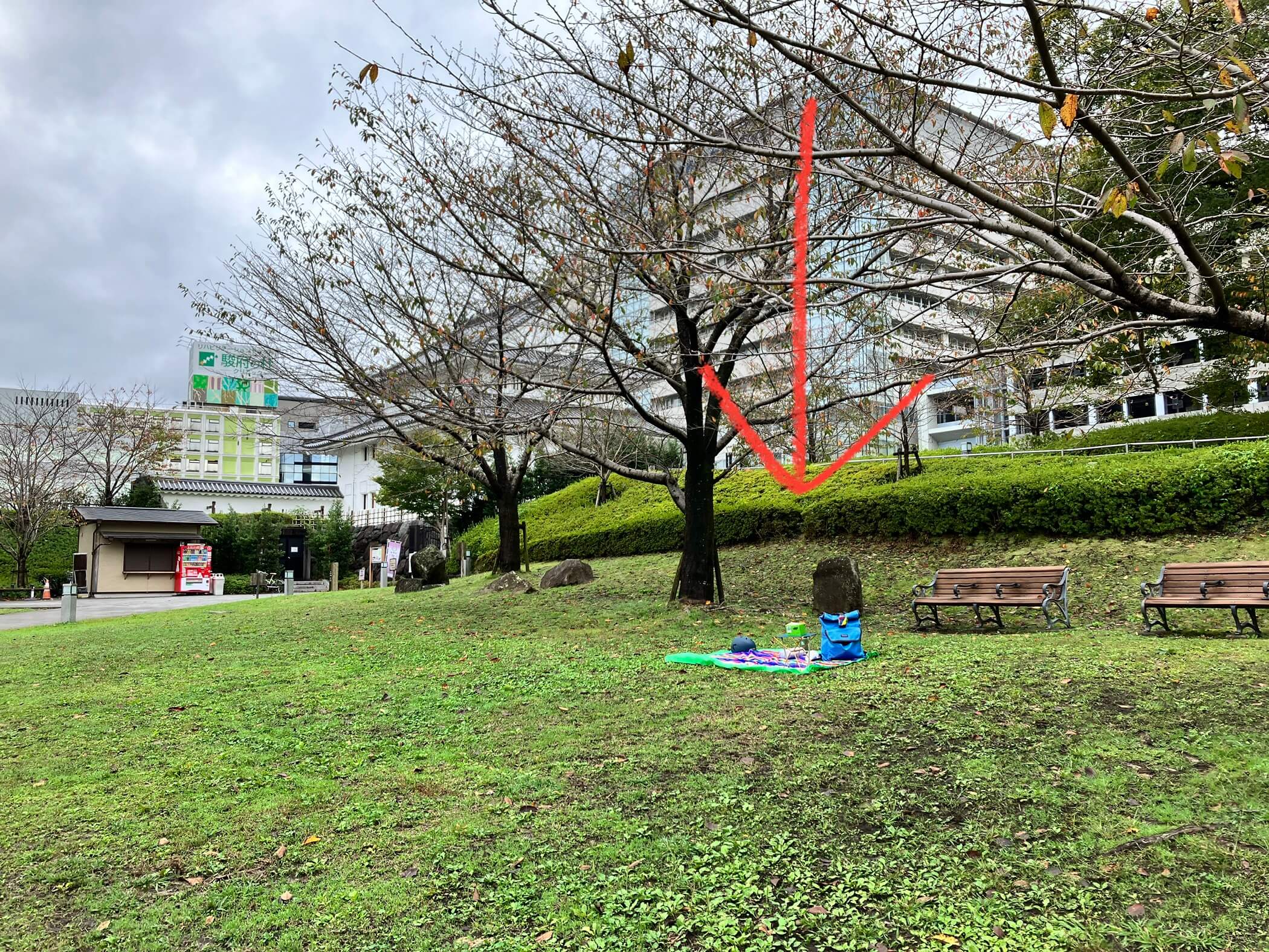 【イベント終了】11月10日(日) 「Knit OUT!!お外でニッティング」in the Park