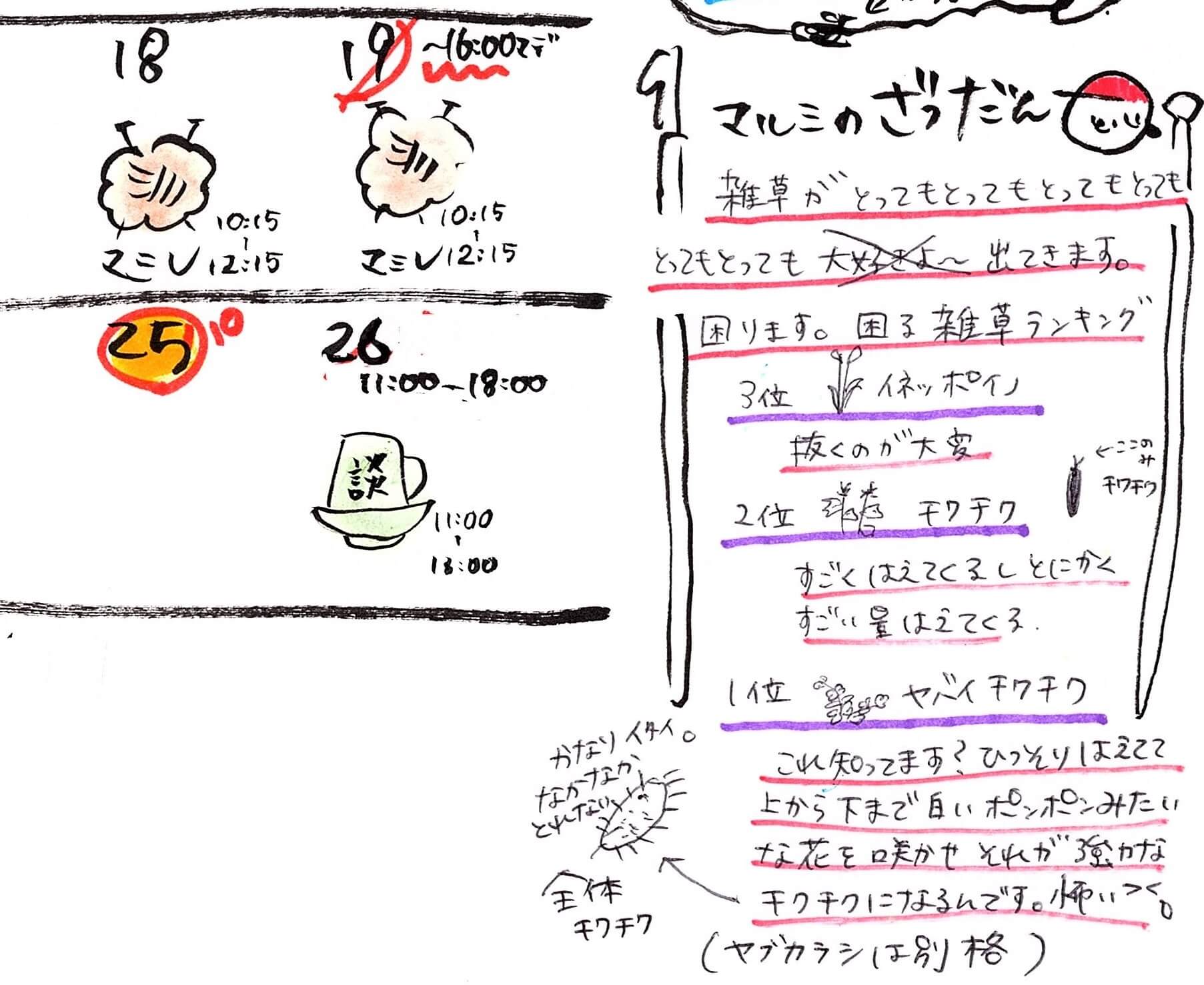秋山毛糸店2025年7月カレンダー